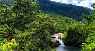 Waterfall in forest