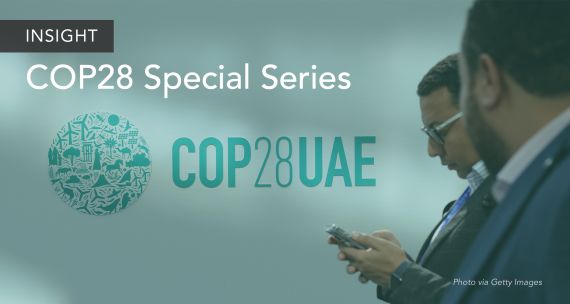 COP28 Insight series banner