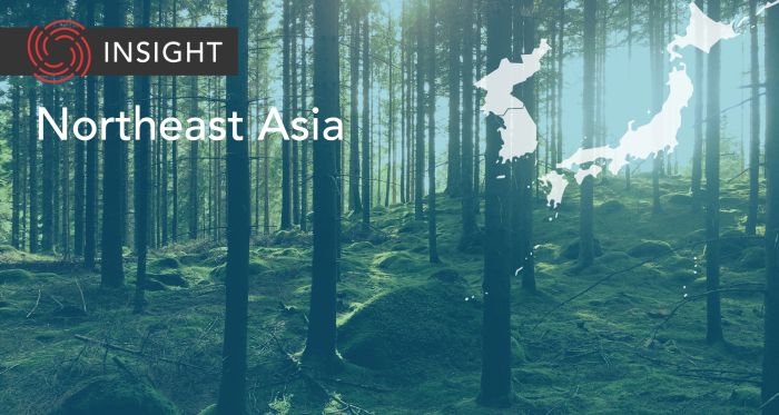 Forest in Japan on Northeast Asia Banner